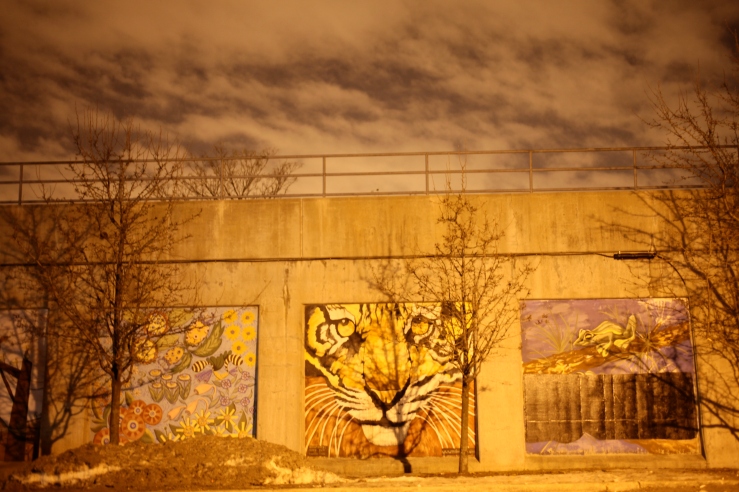 hubbard street mural chicago 3rdarm arthur mullen tiger